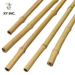 Bamboo Stakes