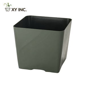 4“ Injection Mold Square Pot – Green