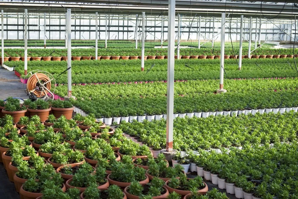 Greenhouse Solution